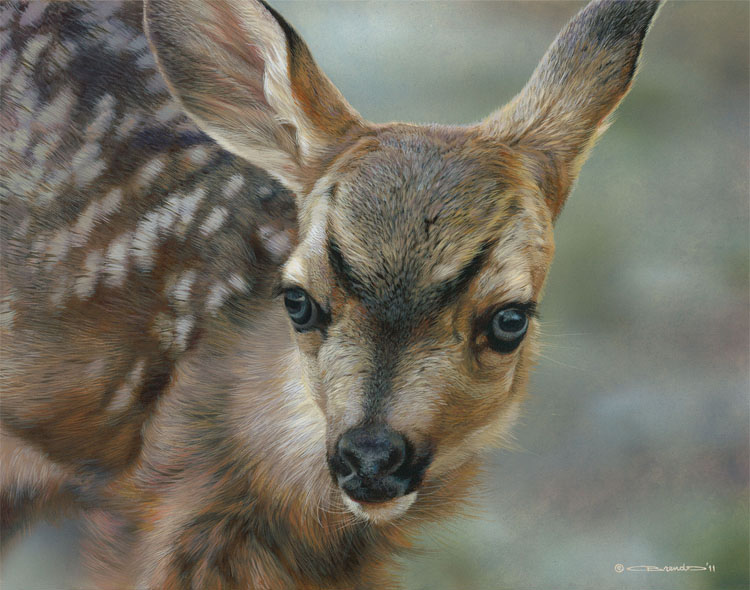 (image for) Handmade oil painting Copy paintings of famous artists Carl Brenders Paintings Spotted-Mule Deer